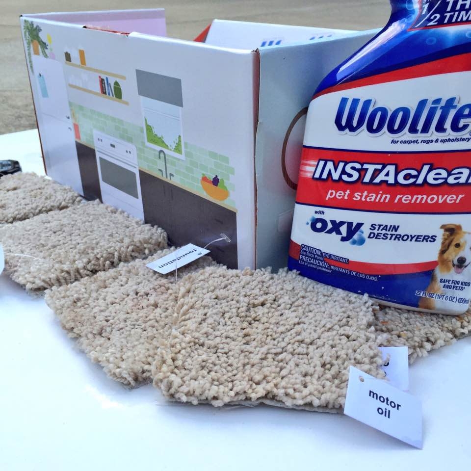 Woolite InstaClean Stain Remover on My Life Well Loved