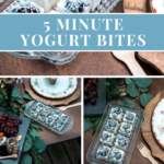 5 Minute Yogurt Bites