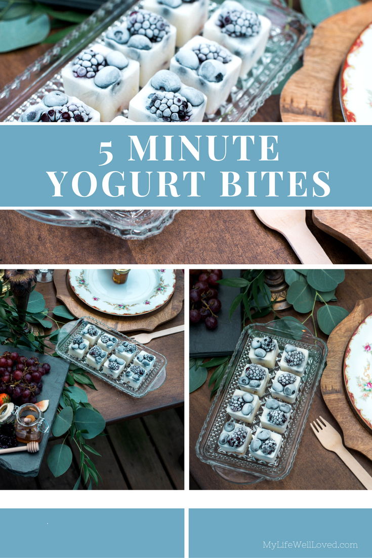 5 Minute Healthy Yogurt Bites Recipe. Awesome holiday appetizer or dessert idea from Heather Brown of My Life Well Loved