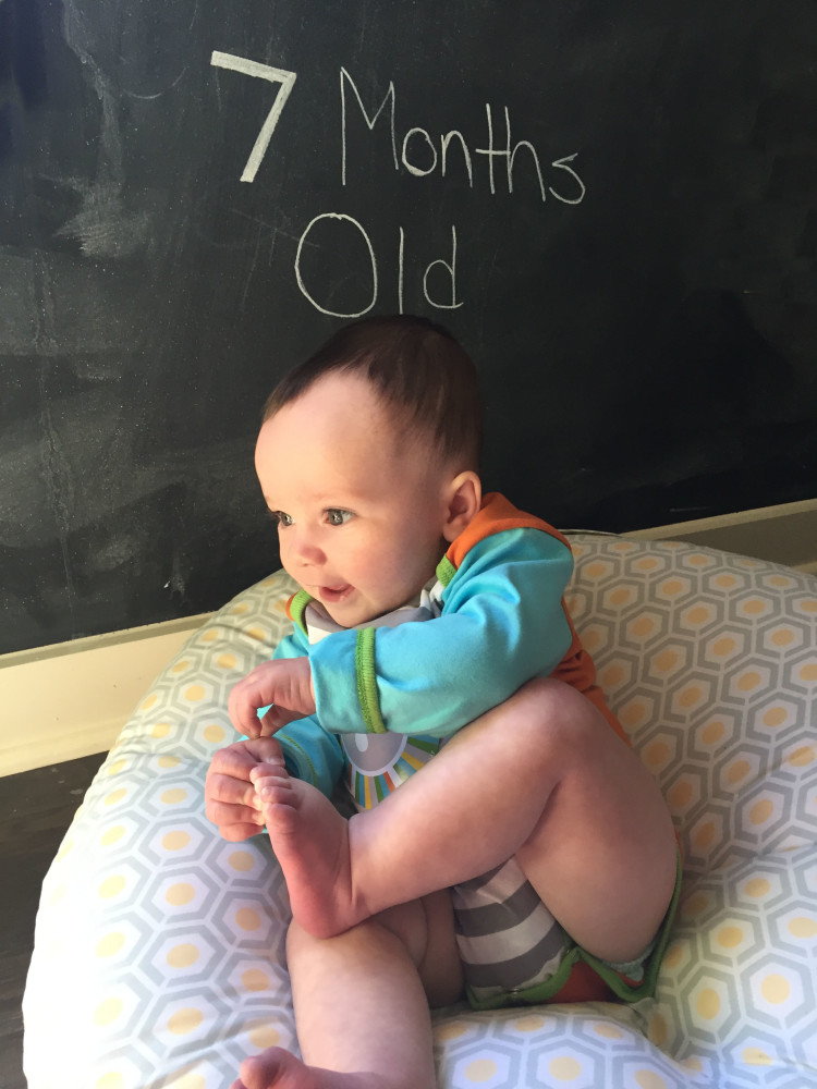 7 Months Old Milestones