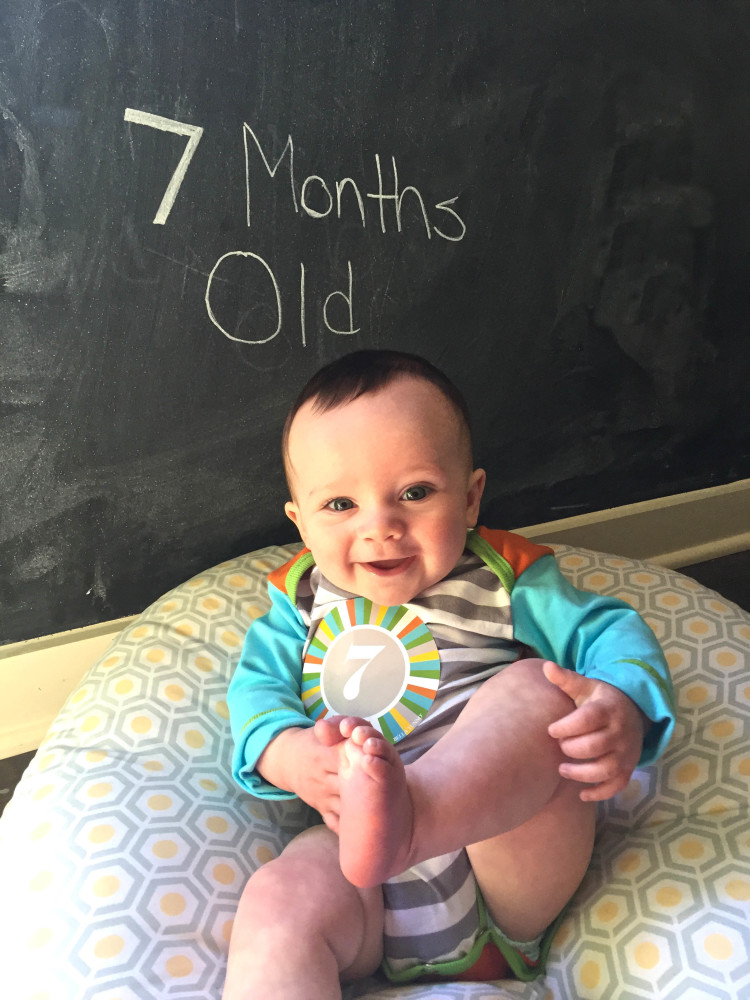 7 Months Old Milestone