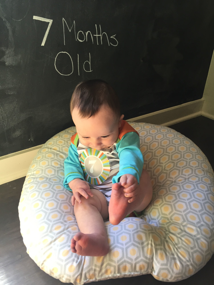 7 Months Old Milestones