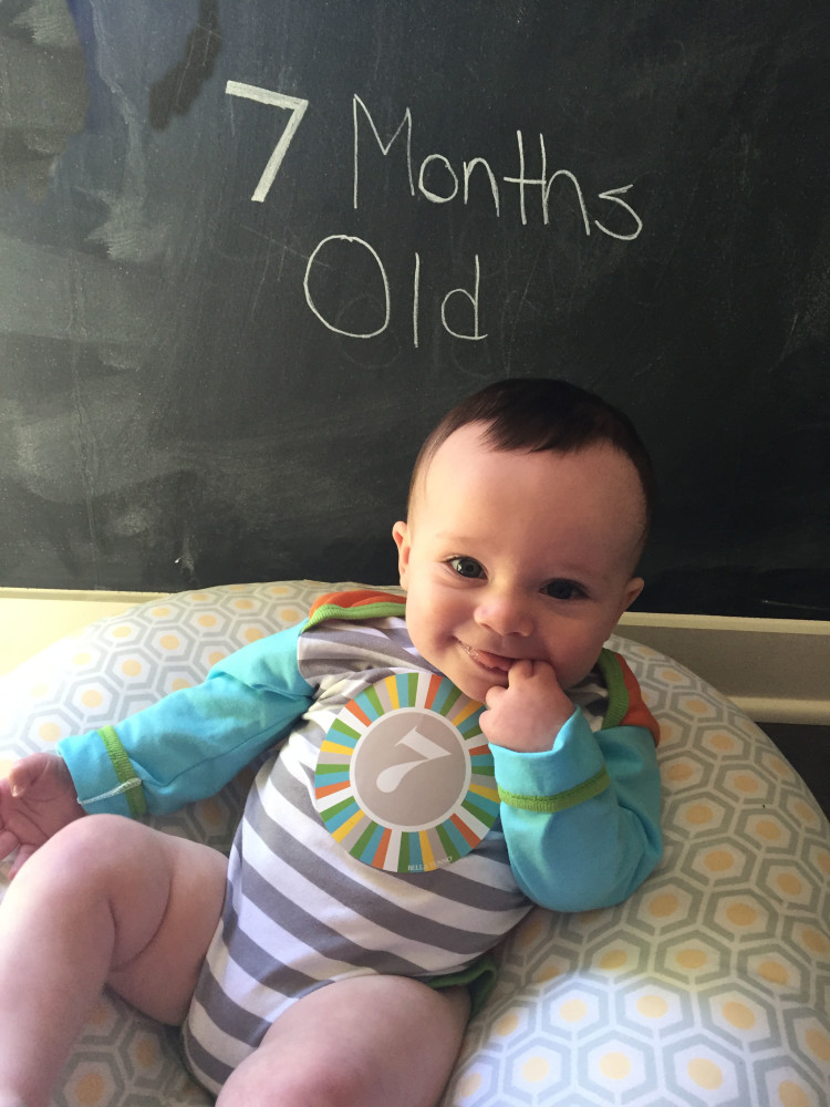 7 Months Old Milestone