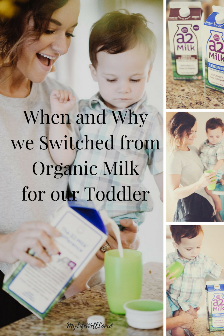 Which milk should I give my Toddler? Organic Milk vs regular milk -- A2 Milk from Heather of MyLifeWellLoved.com