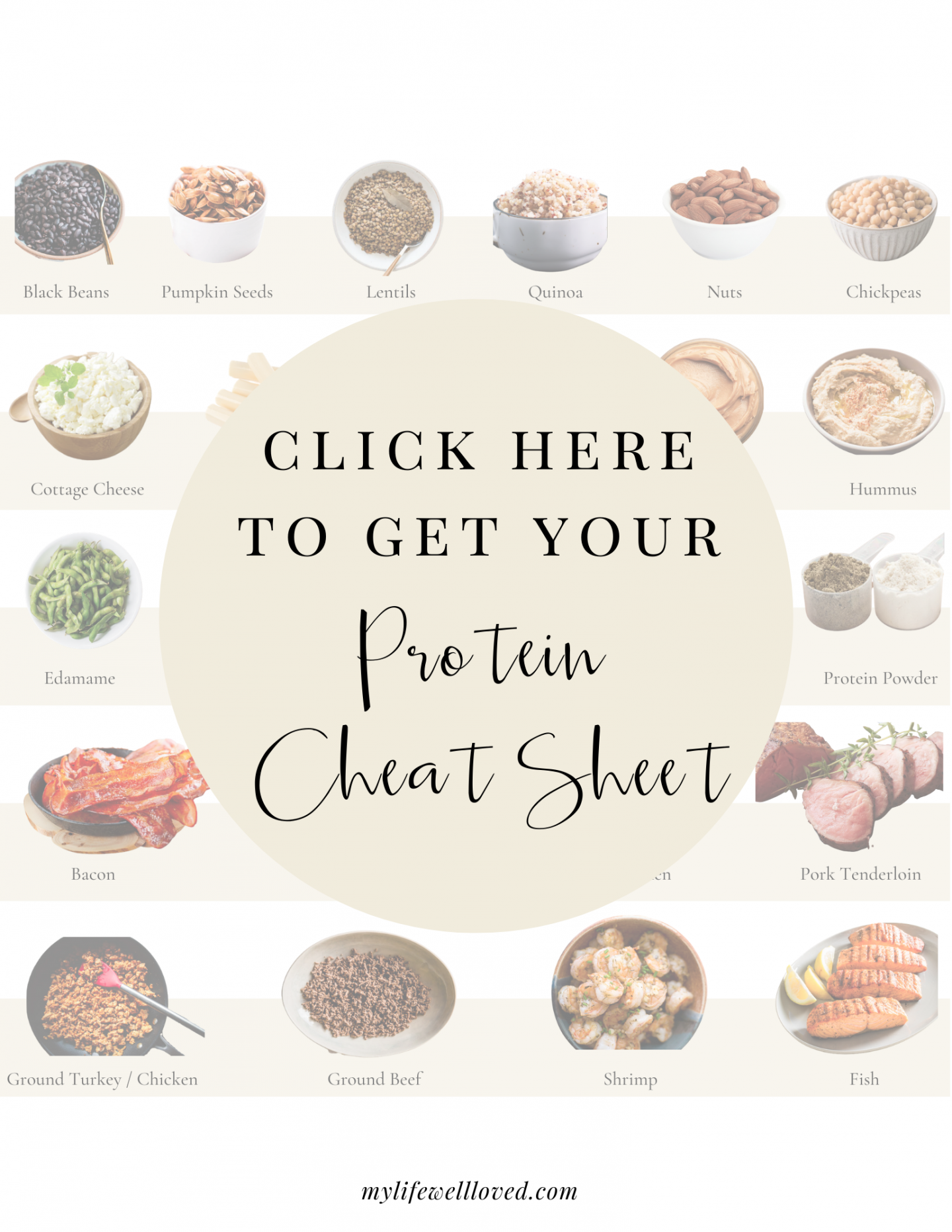 protein cheat sheet