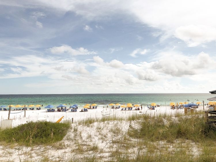 Things To Do In Sandestin FL featured by top US travel blogger, My Life Well Loved.