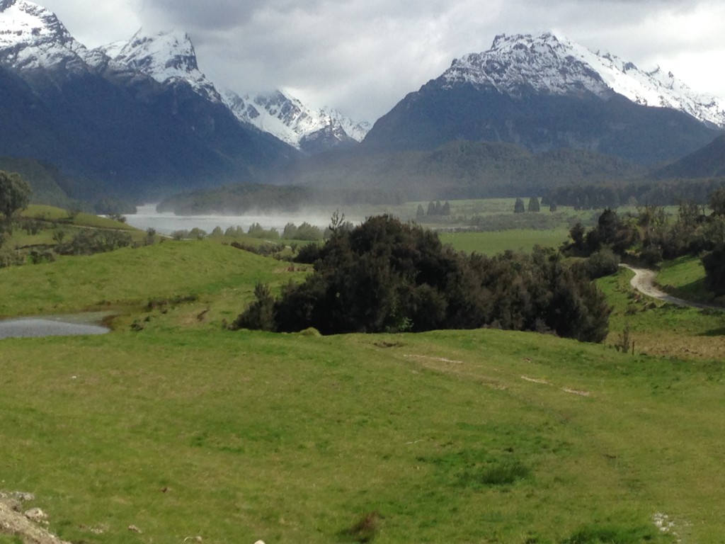 NZ scenery