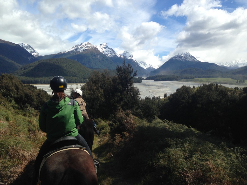 Horse Back Riding New Zealand