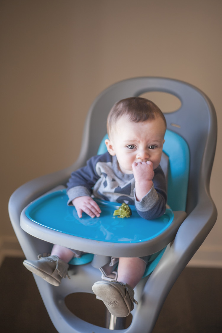 My Life Well Loved: Baby Led Weaning