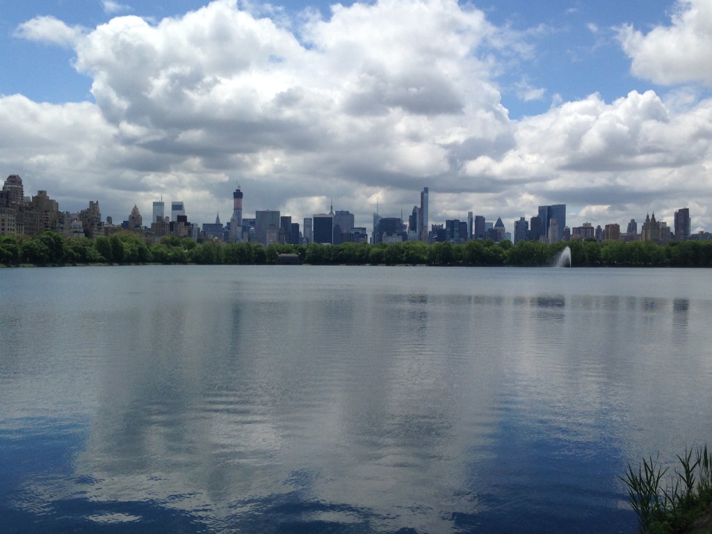 Central Park View