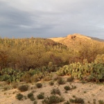 A Tucson Wedding