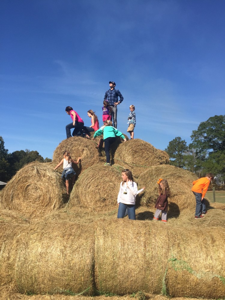 Pumpkin Patch Birmingham