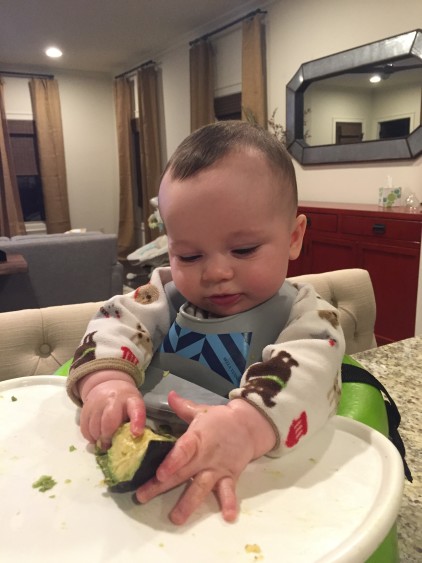 Baby Led Weaning: Avocado- 6 Months Old Milestone