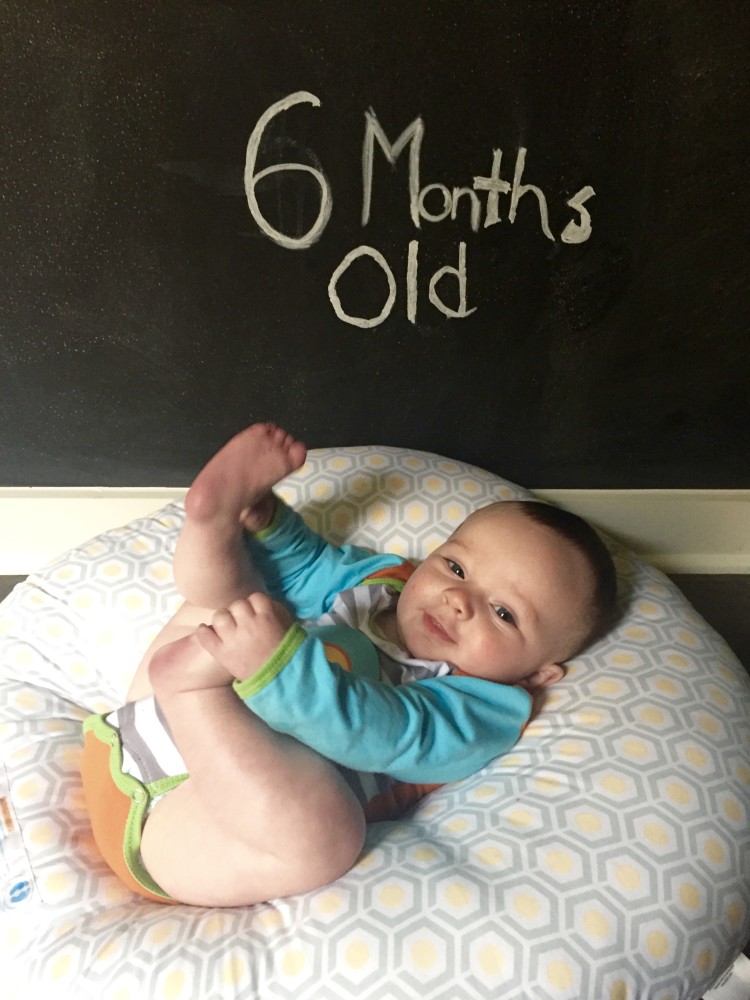 My Life Well Loved: 6 Months Old Milestones