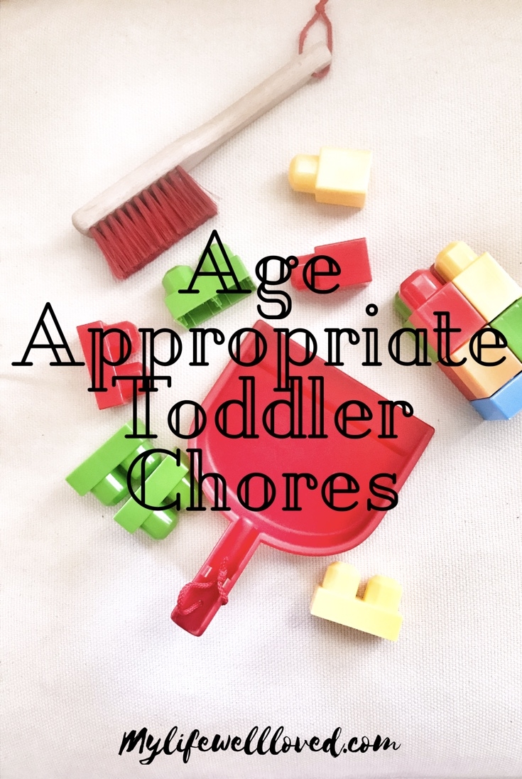 Age Appropriate Toddler Chores // Kid Chores // Cleaning with kids from Heather of MyLifeWellLoved.com