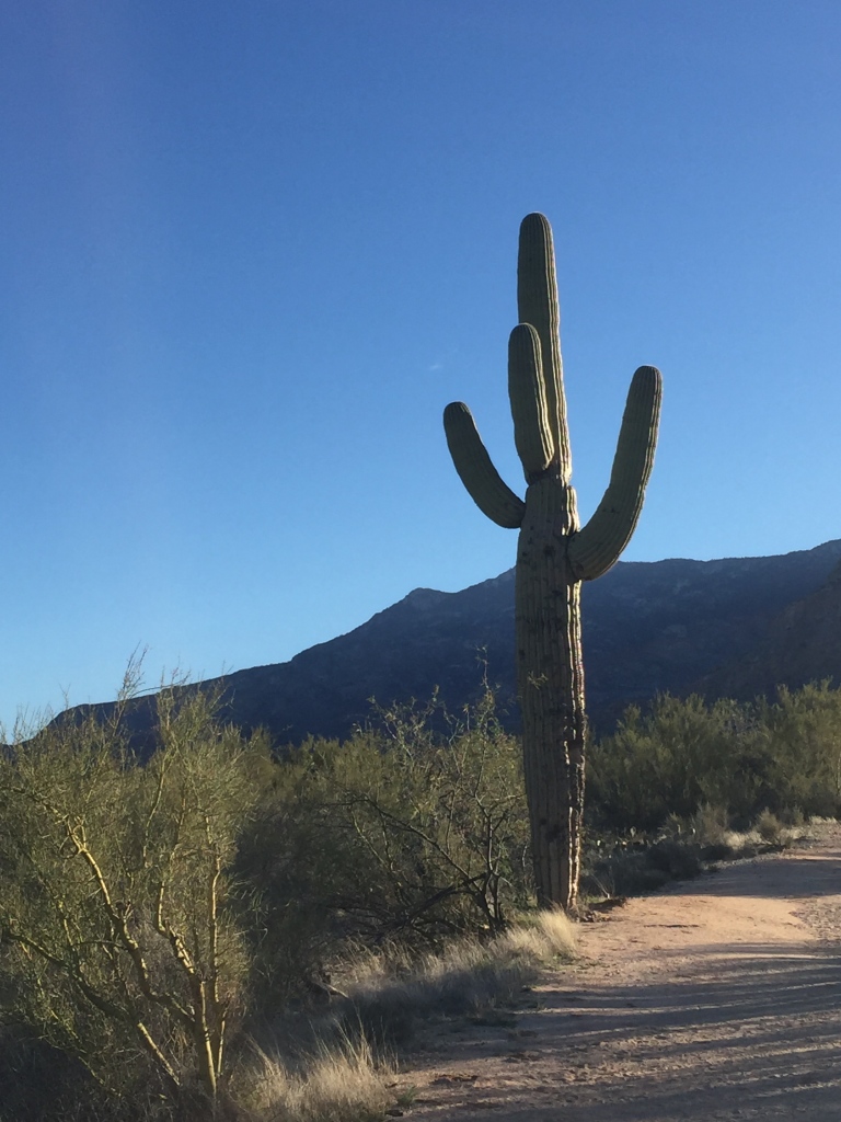 Tucson Arizona