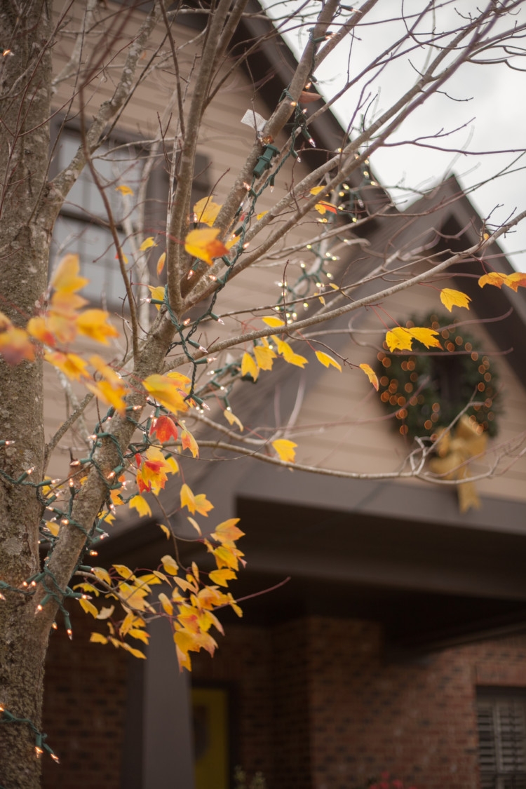 Outdoor Christmas Decorations from lifestyle blogger mylifewellloved.com