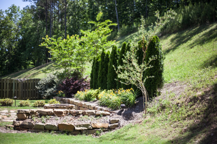 My Life Well Loved: First Garden and First Tree for Baby Ideas