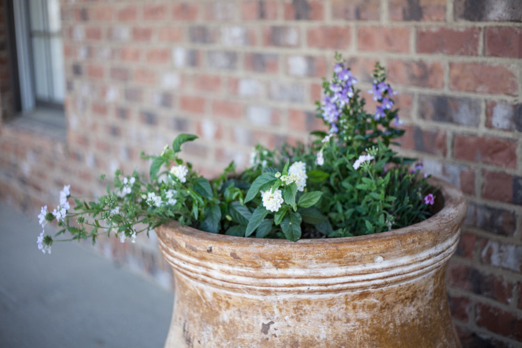 My Life Well Loved: First Garden and First Tree for Baby Ideas