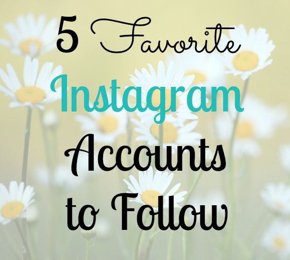 5 Favorite Instagram Accounts to Follow