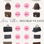 The Best Louis Vuitton Lookalikes For LESS!