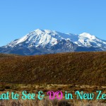 New Zealand Trip: Taupo