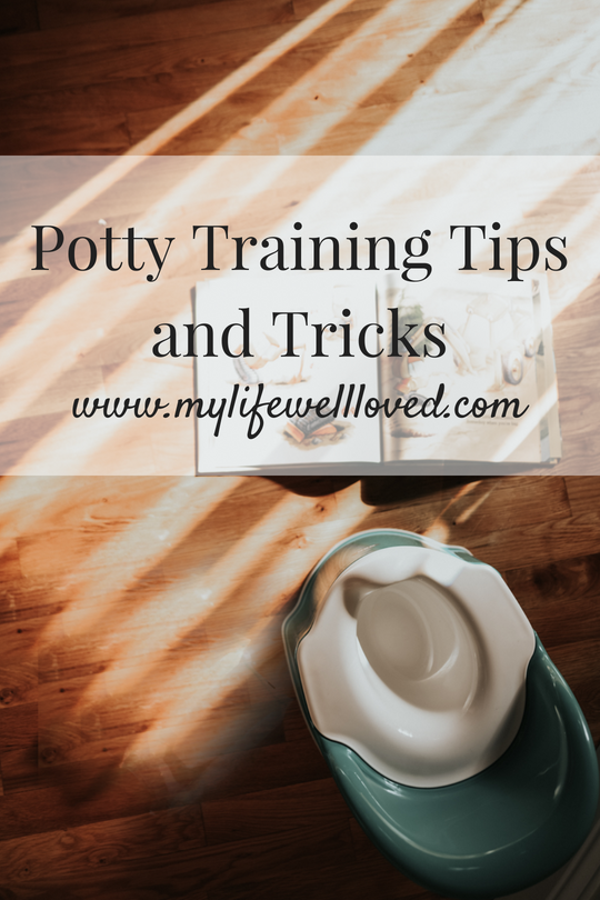 Potty training guide from Alabama blogger Heather of MyLifeWellLoved.com with TONS of tips from over 30 moms #pottytraining #toddler