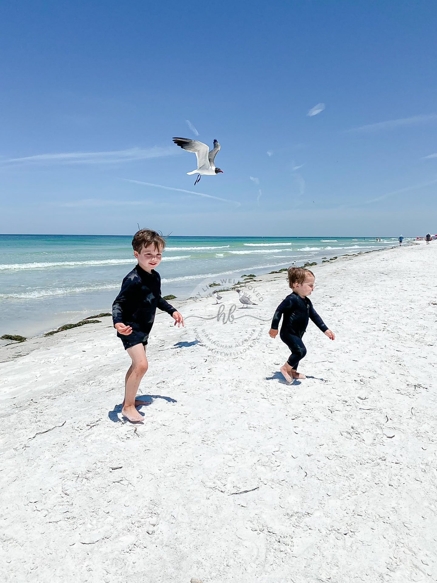 Family Travel Guide: The Best Things to Do in Indian Rocks FL with Kids featured by top US travel blogger, My Life Well Loved