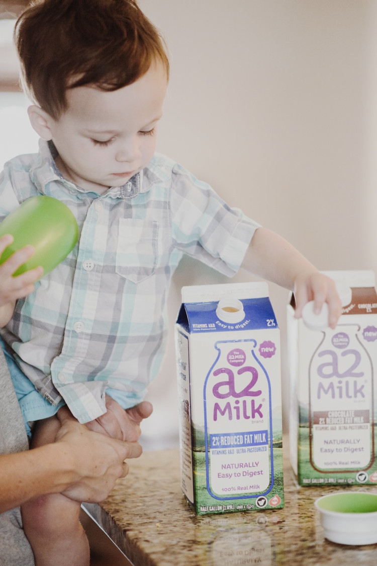 Which milk should I give my Toddler? Organic Milk vs regular milk -- A2 Milk from Heather of MyLifeWellLoved.com