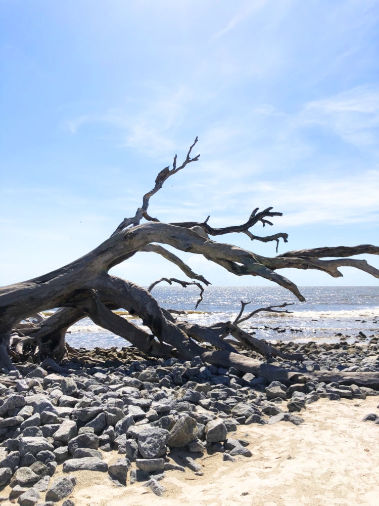 Things to Do in Jekyll Island from Alabama blogger Heather of MyLifeWellLoved.com #babymoon #jekyllisland